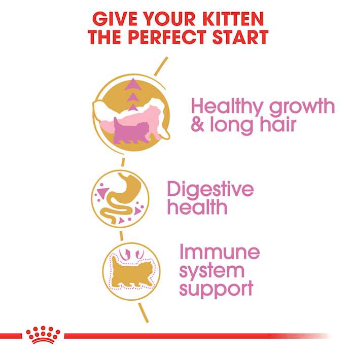 Persian Kitten Dry Cat Food W9892