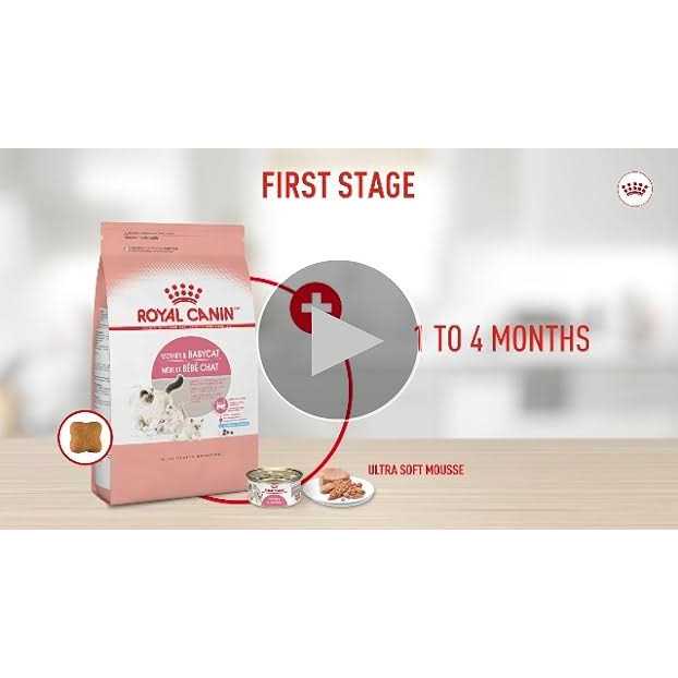 Persian Kitten Dry Cat Food W9892