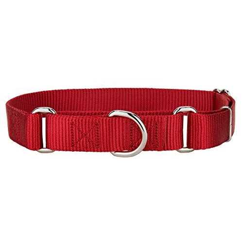 Nylon Martingale Dog Collar O36084