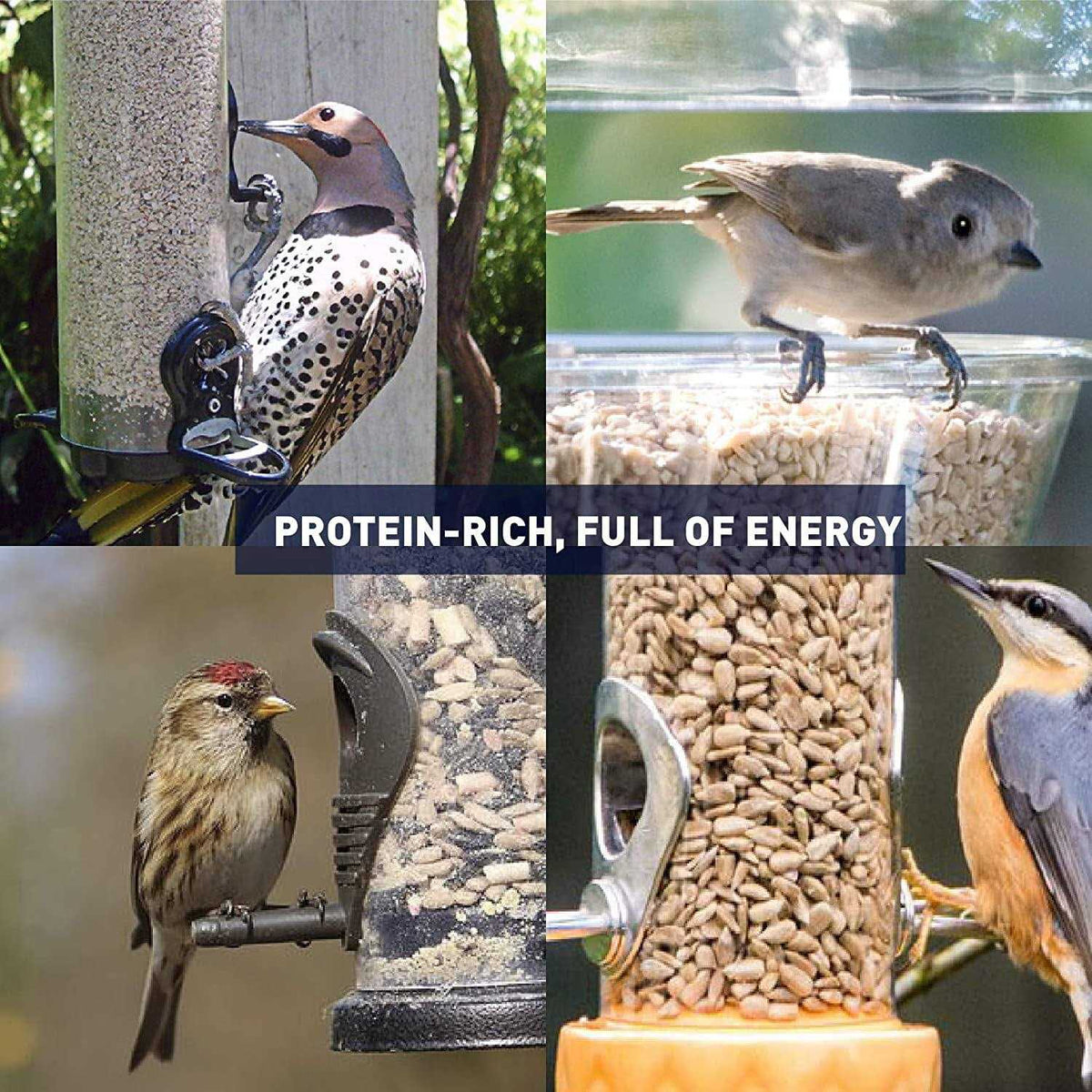 Sunflower Kernels Wild Bird Food 50 lb O2815