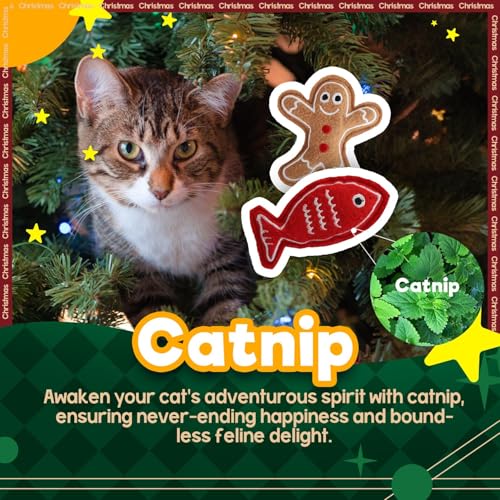 Catnip Crinkle Sound Cat Toys 2-Pack M307927