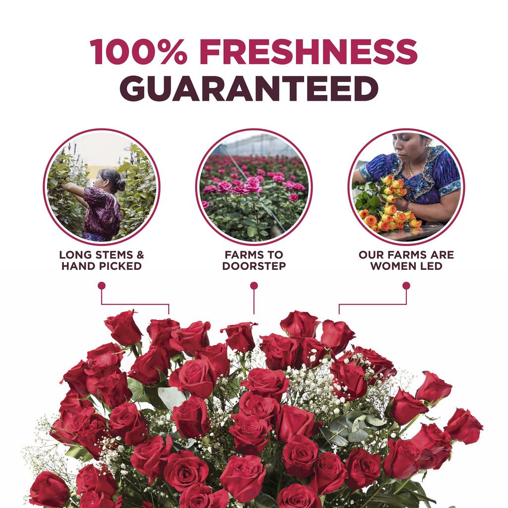 4 Dozen Fresh Cut Long Stem Roses Bouquet Z3063