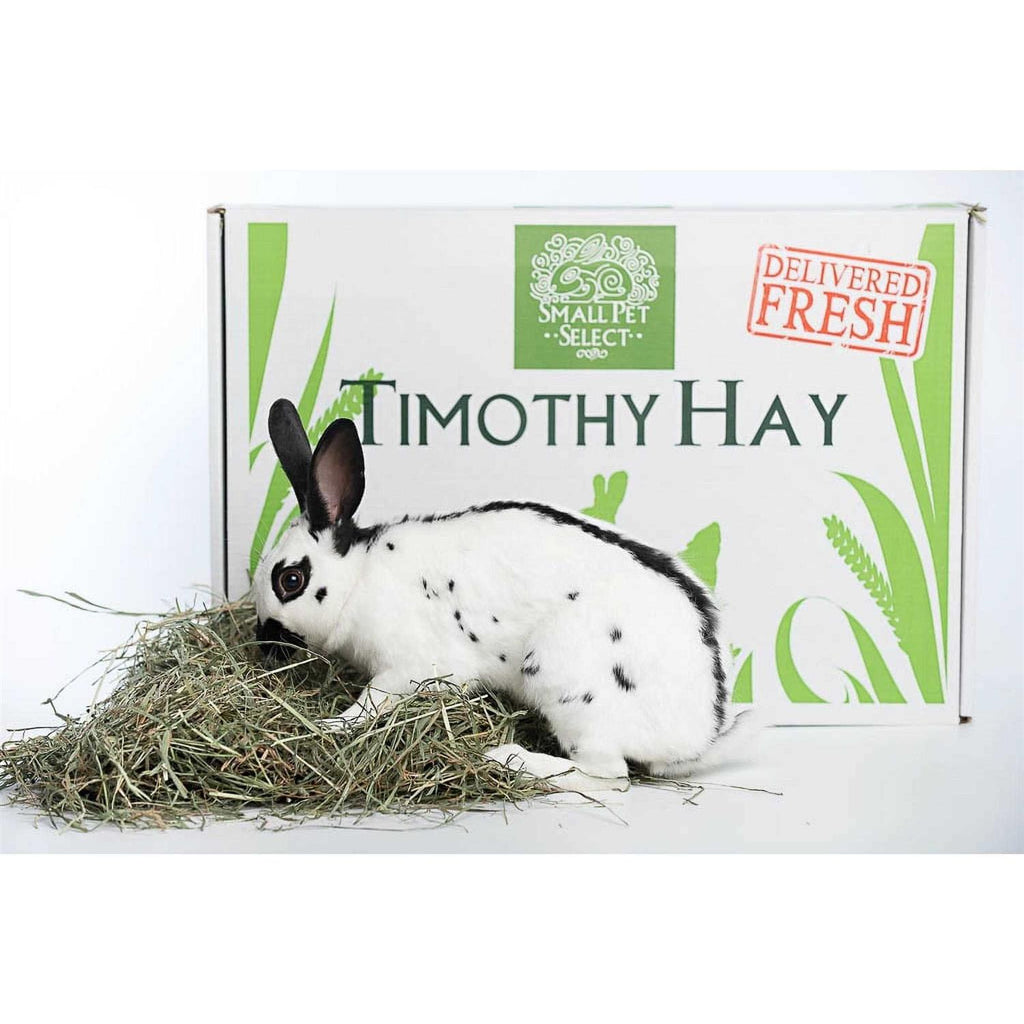 Timothy Hay Pet Food T86996