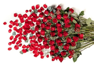 4 Dozen Fresh Cut Long Stem Roses Bouquet Z3063