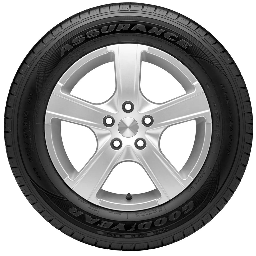 225/65R16 100T All-Season Passenger Tire N69326