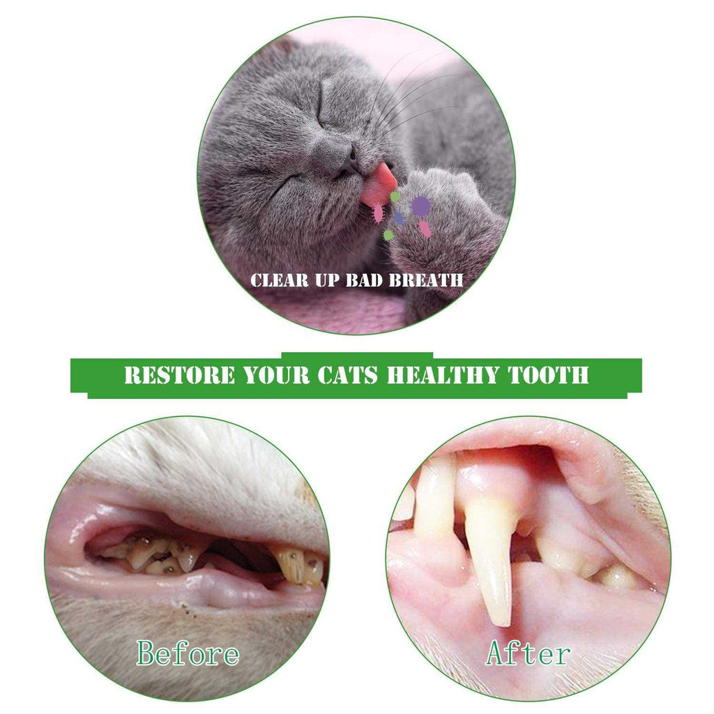 Catnip Cat Toothbrush Toy Q95424