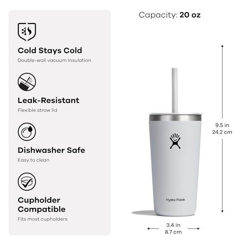 Stainless Steel Insulated Tumbler with Lid and Straw A95179