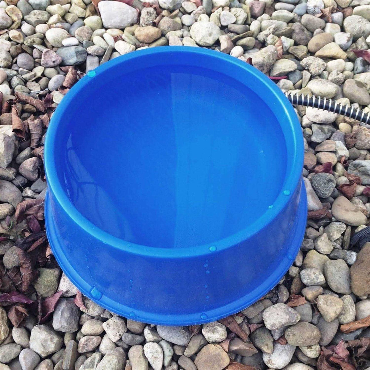 Plastic Heated Pet Bowl with Anti Chew Cord E847849