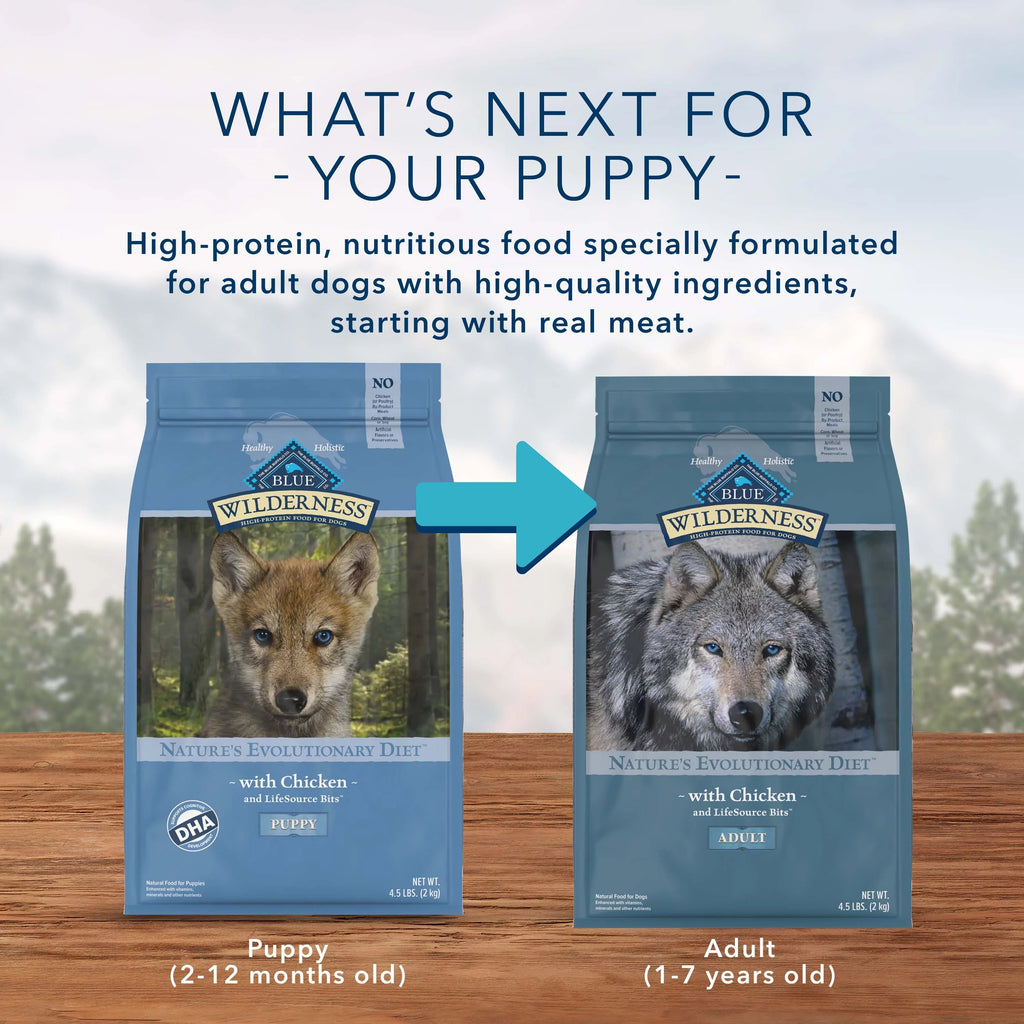 High Protein Chicken Grain-Free Dry Dog Food V803