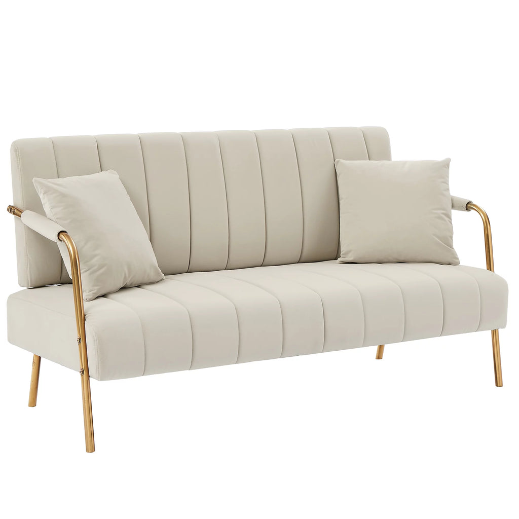 Velvet Upholstered Loveseat Sofa with 2 Throw Pillows K109641