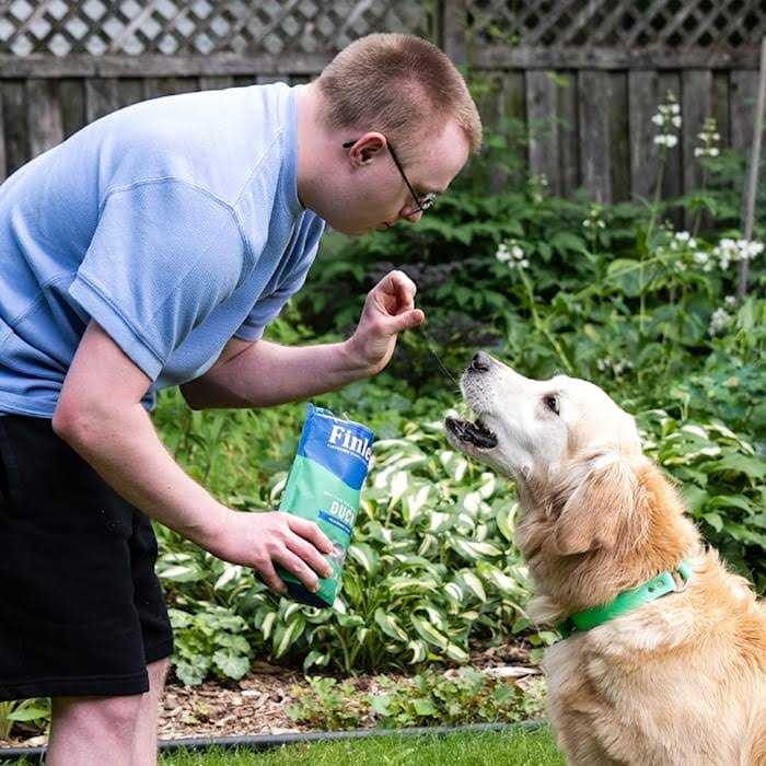 Soft Chew Dog Treats Training Bites E1712