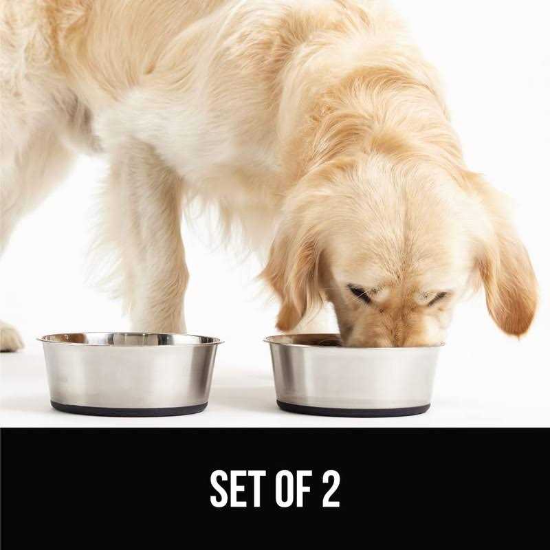 Stainless Steel Dog Bowl Set of 2 Rubber Base B420