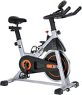 Indoor Cycling Bike with Ipad Mount C910298