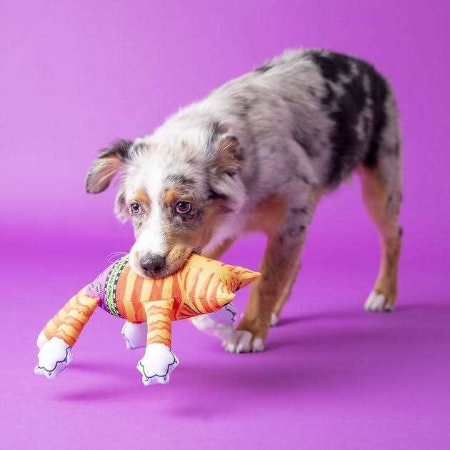 Dog Toy G60455