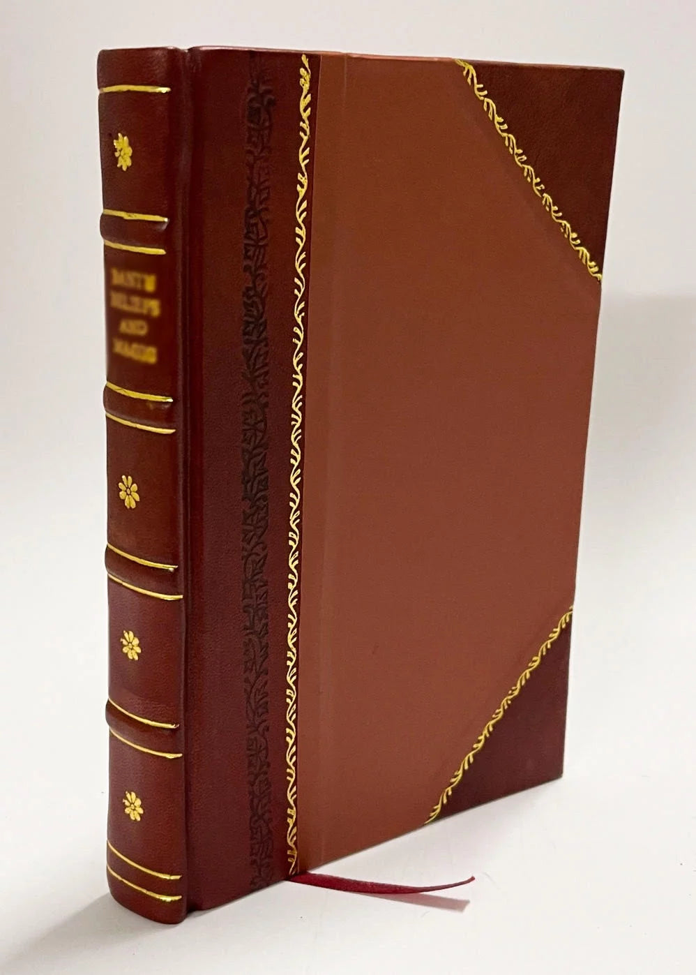 Leather Bound Book X334