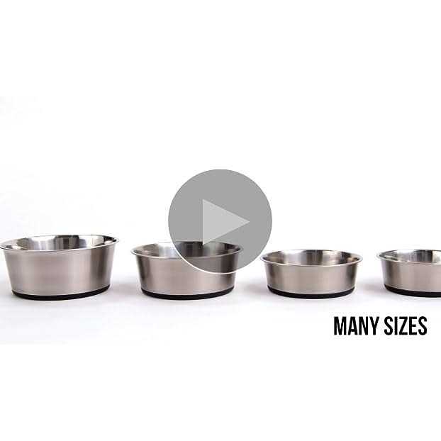 Stainless Steel Dog Bowl Set of 2 Rubber Base B420