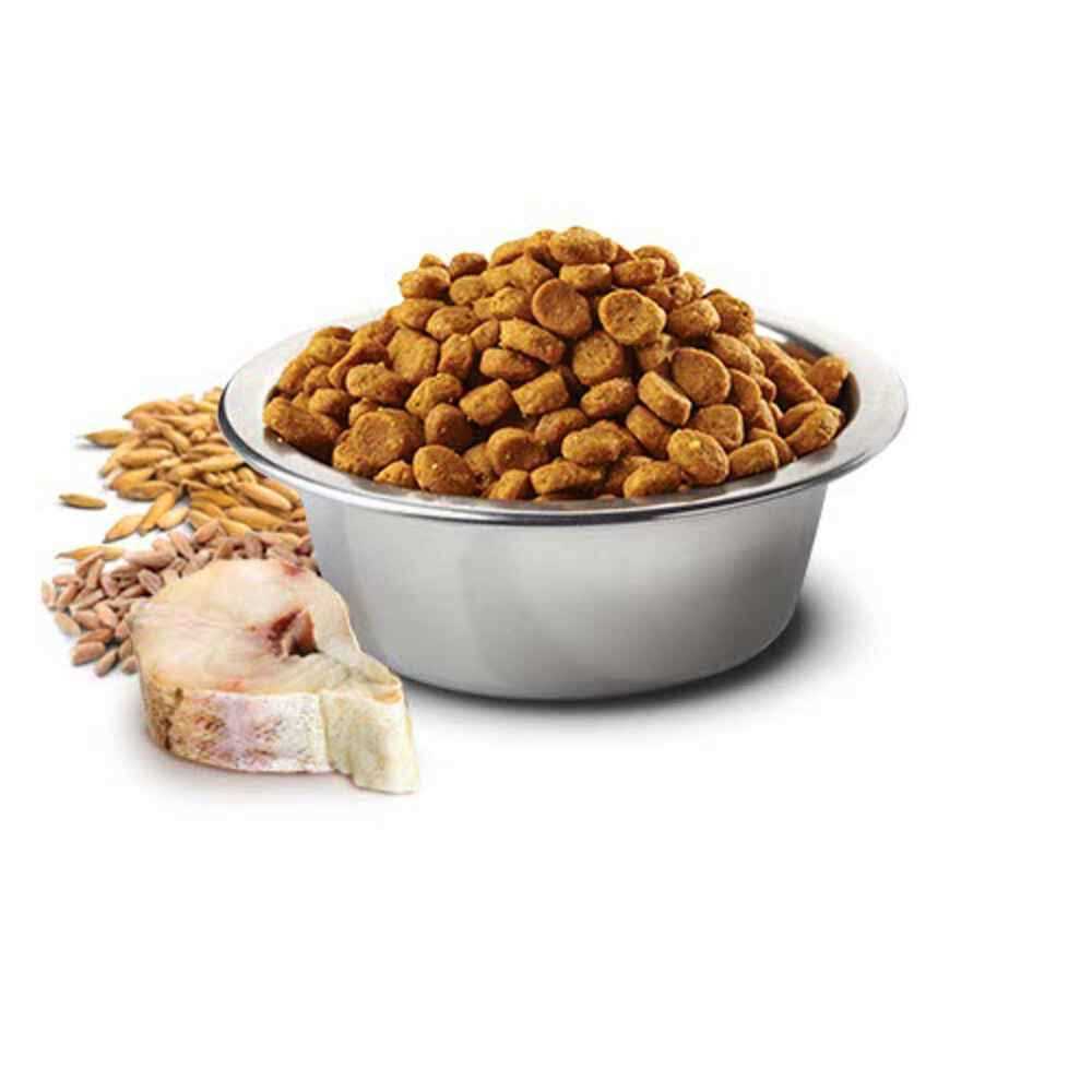 Cod & Orange Adult Mini Dry Dog Food F750915