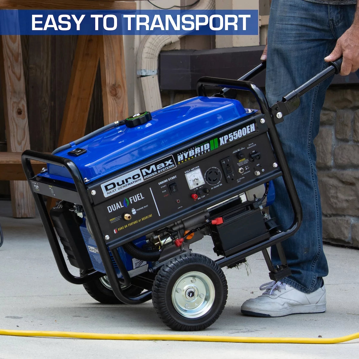 5500-Watt Dual Fuel Portable Generator R3396