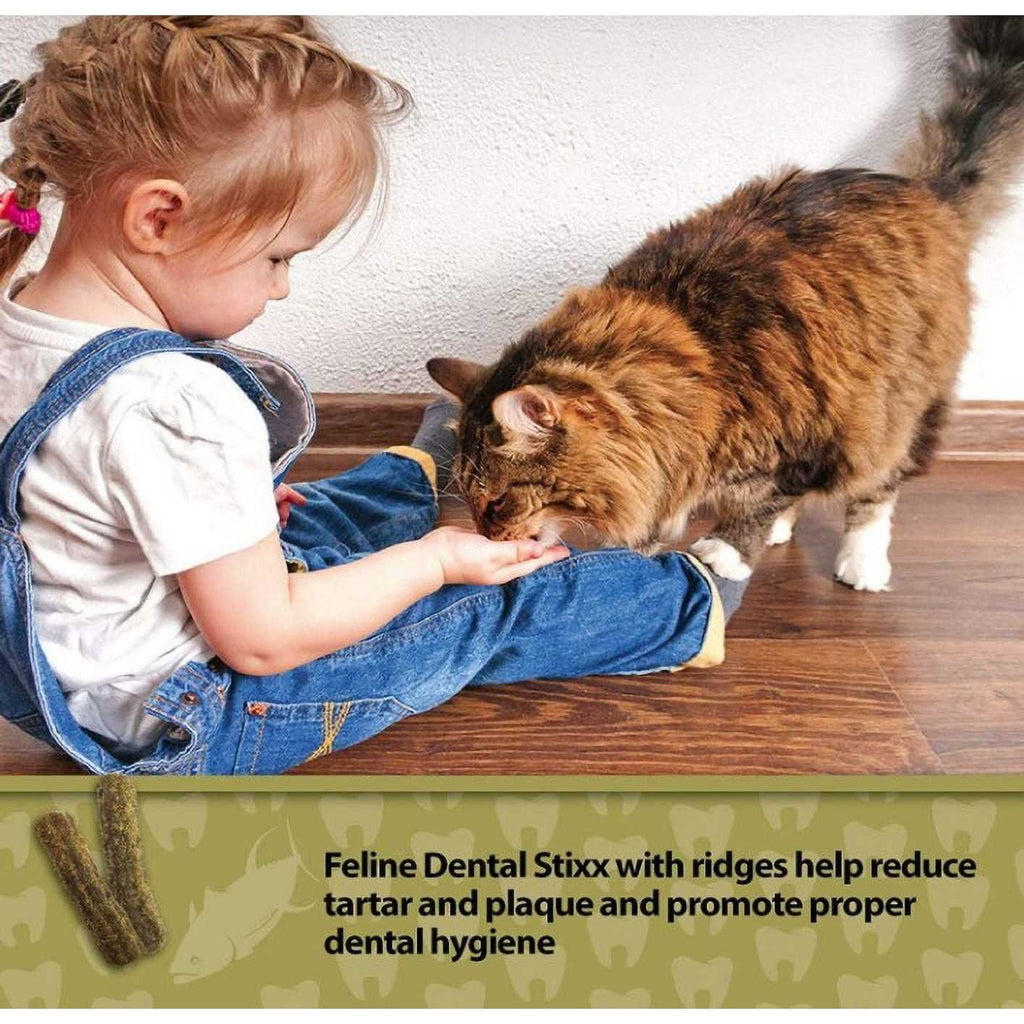 Tuna & Pumpkin Dental Cat Treats Z11107