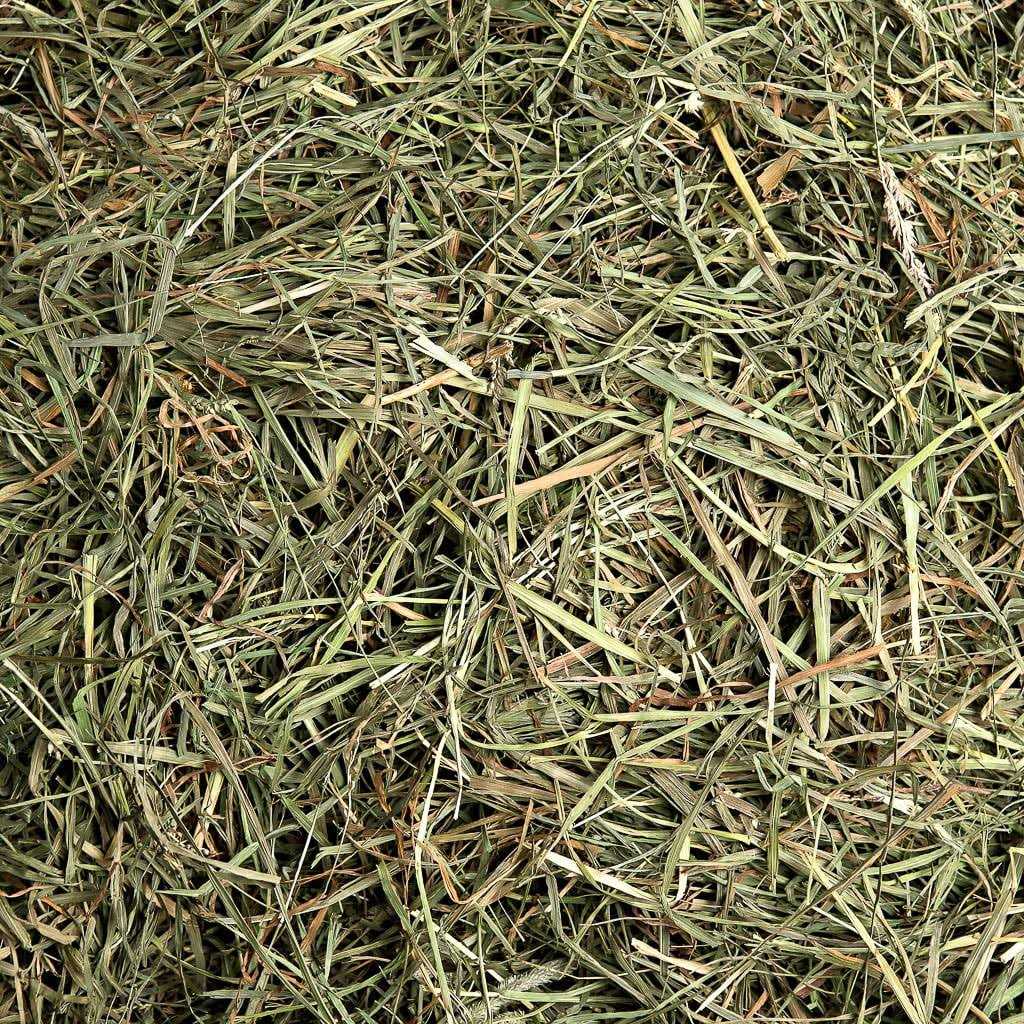 Timothy Hay Pet Food T86996