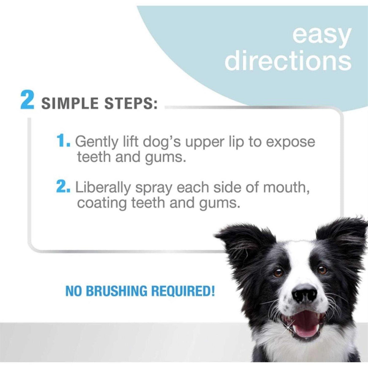 Advanced Oral Care Dental Spray O19106