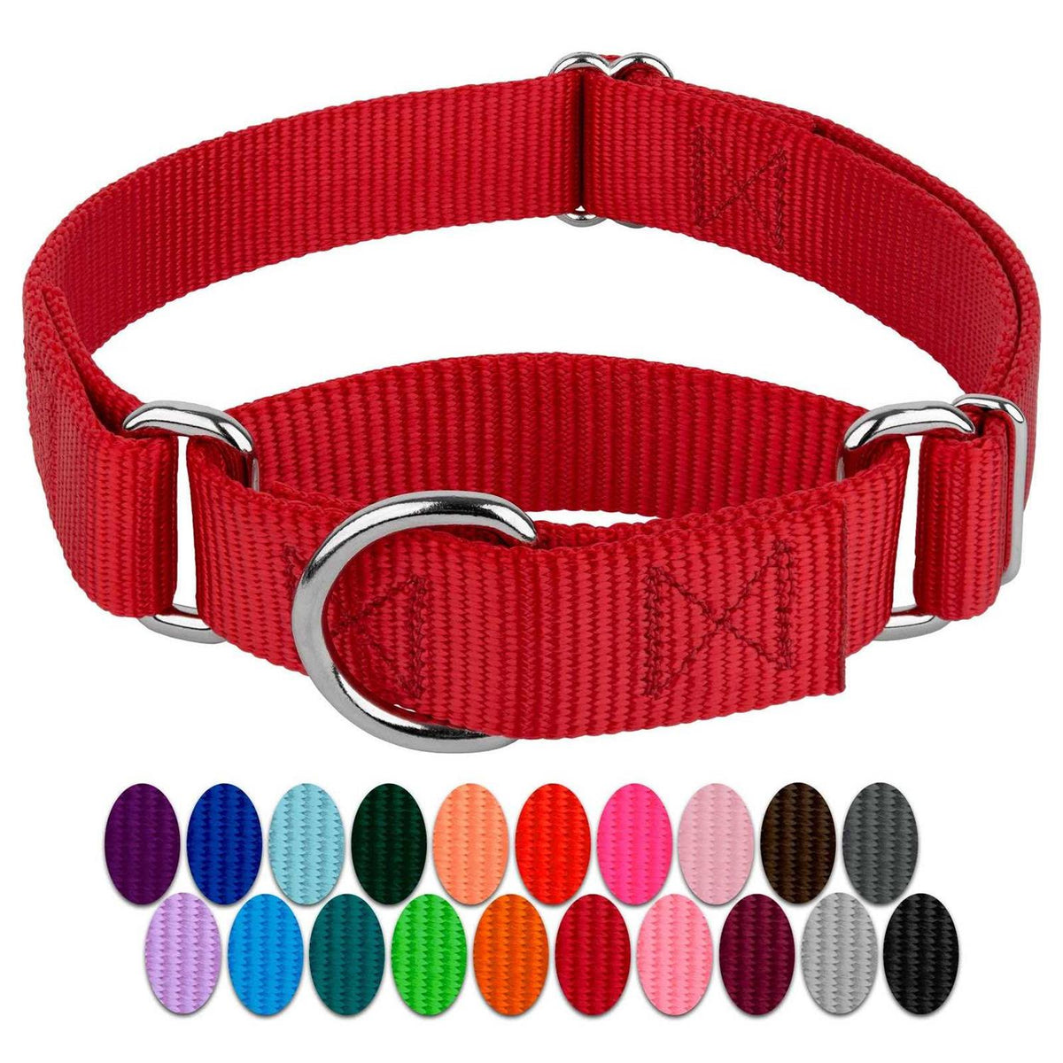 Nylon Martingale Dog Collar O36084