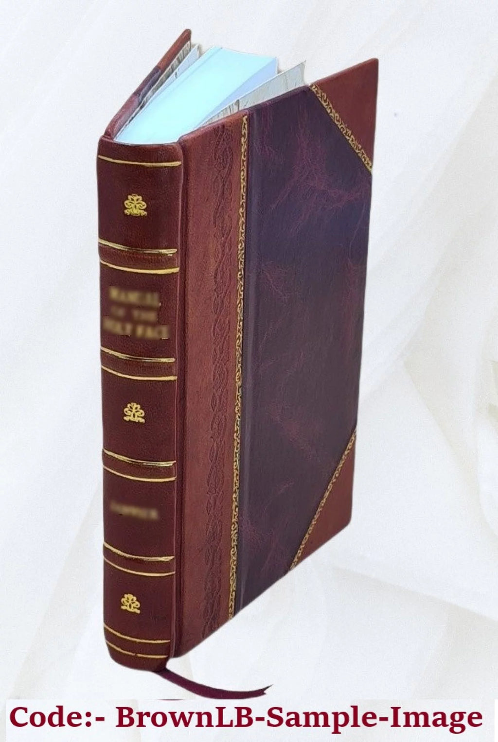 Railroad Companies Reports Leather Bound W632
