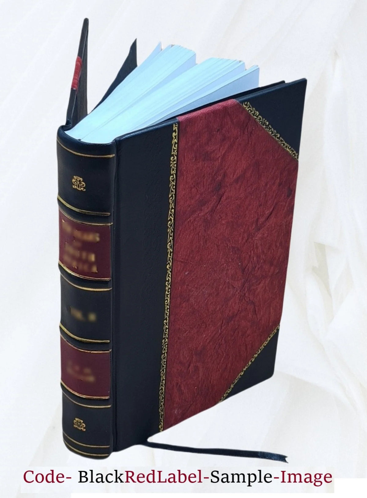 Railroad Companies Reports Leather Bound W632